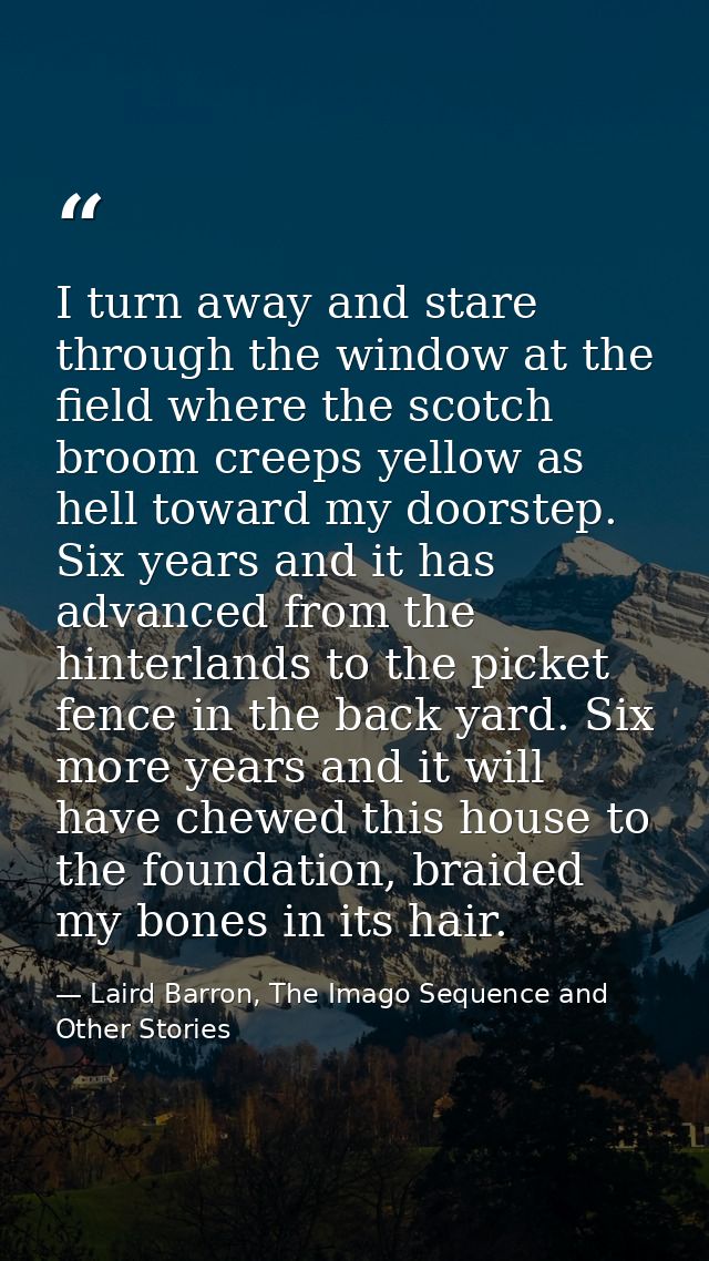 I turn away and stare through the window at the field where the scotch broom creeps yellow as hell toward my doorstep. S — Laird Barron, The Imago Sequence and Other Stories