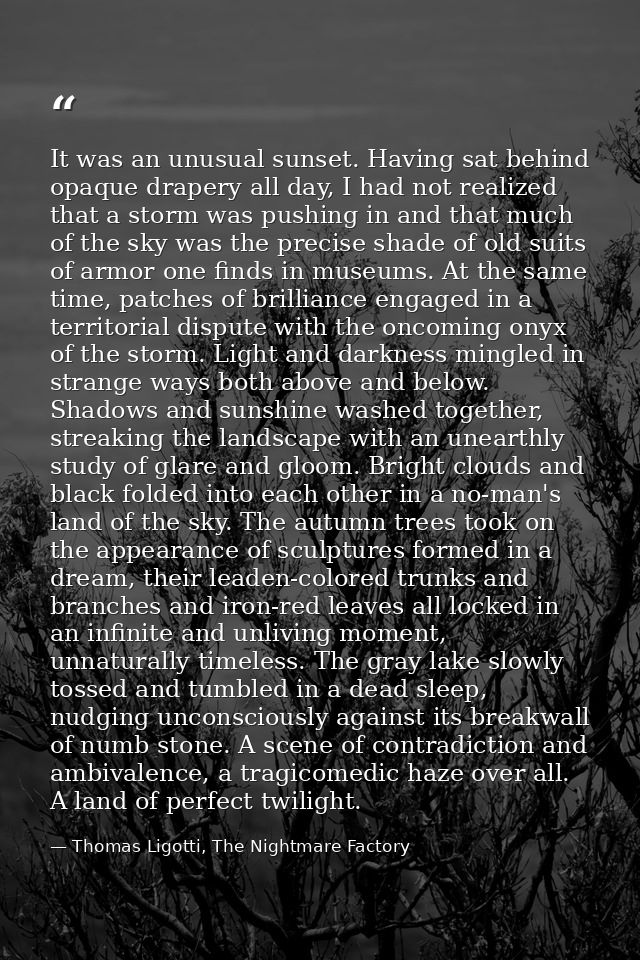It was an unusual sunset. Having sat behind opaque drapery all day, I had not realized that a storm was pushing in and t — Thomas Ligotti, The Nightmare Factory