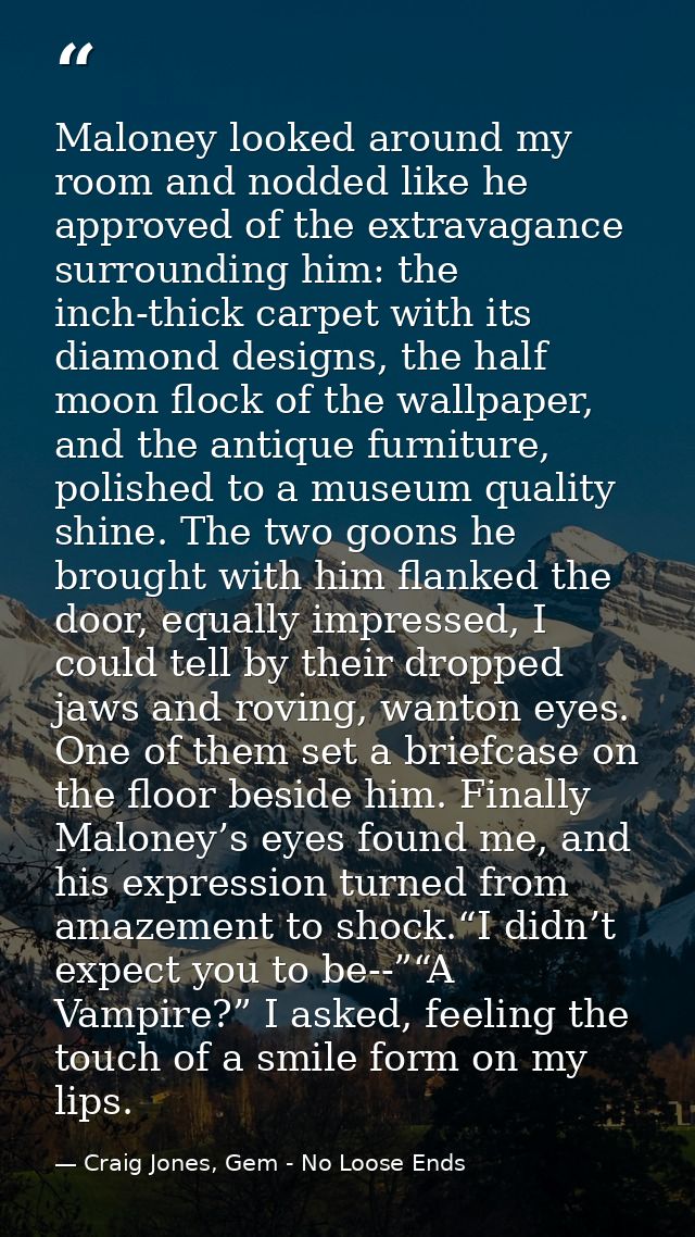 Maloney looked around my room and nodded like he approved of the extravagance surrounding him: the inch-thick carpet wit — Craig Jones, Gem - No Loose Ends