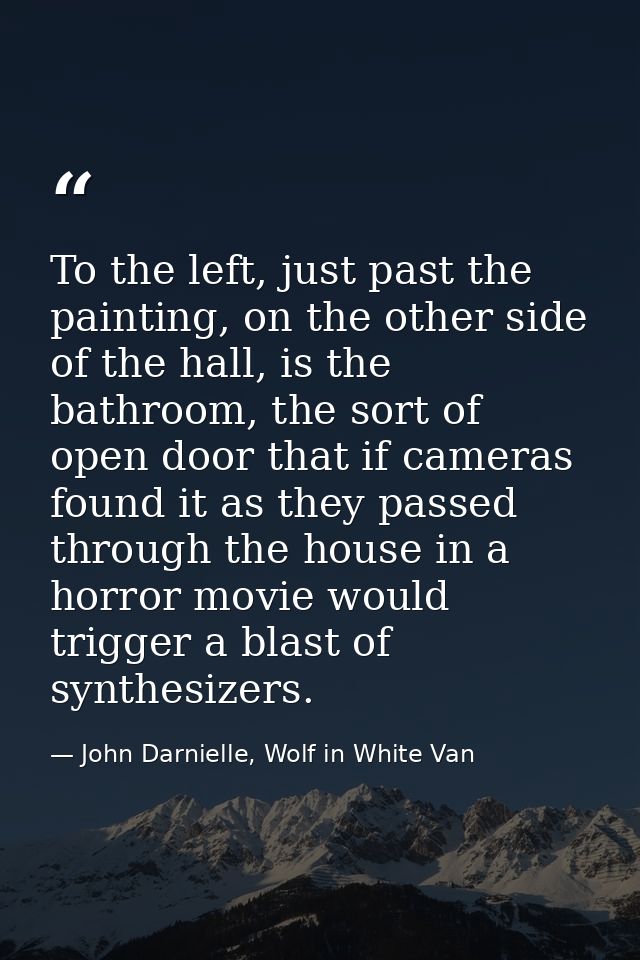 To the left, just past the painting, on the other side of the hall, is the bathroom, the sort of open door that if camer — John Darnielle, Wolf in White Van
