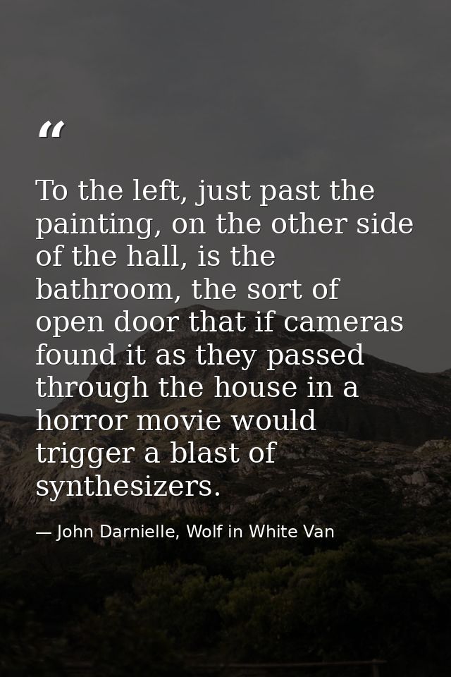 To the left, just past the painting, on the other side of the hall, is the bathroom, the sort of open door that if camer — John Darnielle, Wolf in White Van