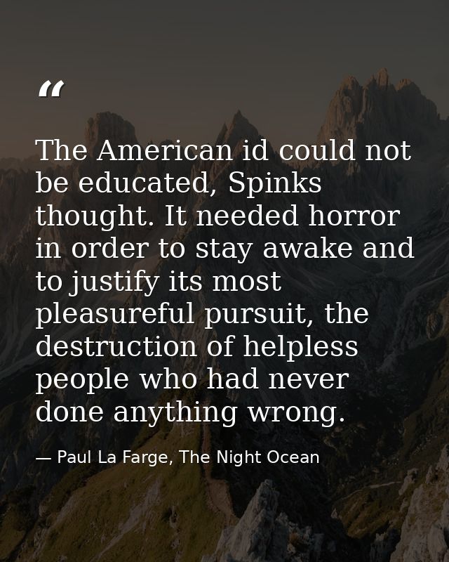 The American id could not be educated, Spinks thought. It needed horror in order to stay awake and to justify its most p — Paul La Farge, The Night Ocean