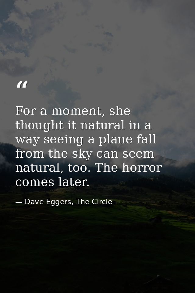 For a moment, she thought it natural in a way seeing a plane fall from the sky can seem natural, too. The horror comes l — Dave Eggers, The Circle