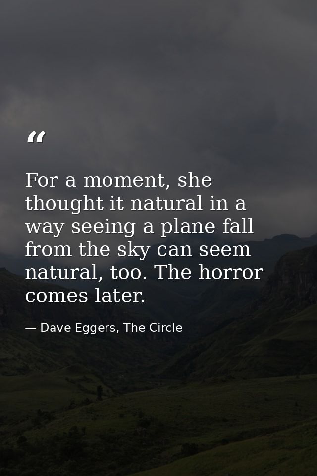 For a moment, she thought it natural in a way seeing a plane fall from the sky can seem natural, too. The horror comes l — Dave Eggers, The Circle