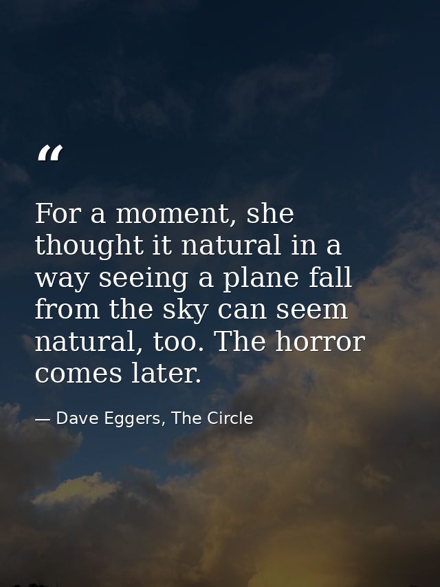 For a moment, she thought it natural in a way seeing a plane fall from the sky can seem natural, too. The horror comes l — Dave Eggers, The Circle