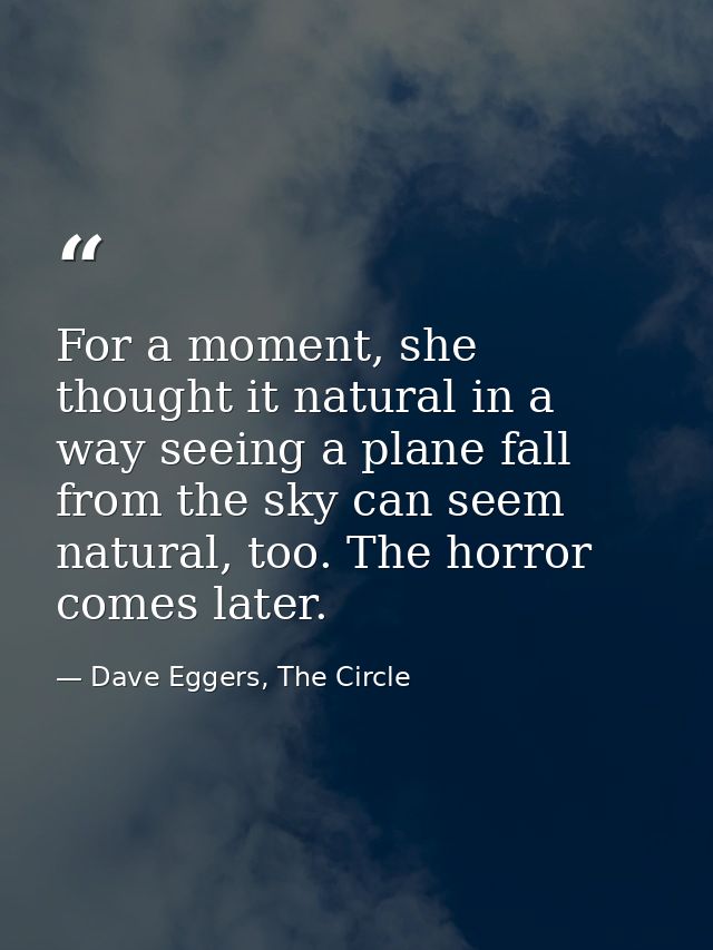 For a moment, she thought it natural in a way seeing a plane fall from the sky can seem natural, too. The horror comes l — Dave Eggers, The Circle