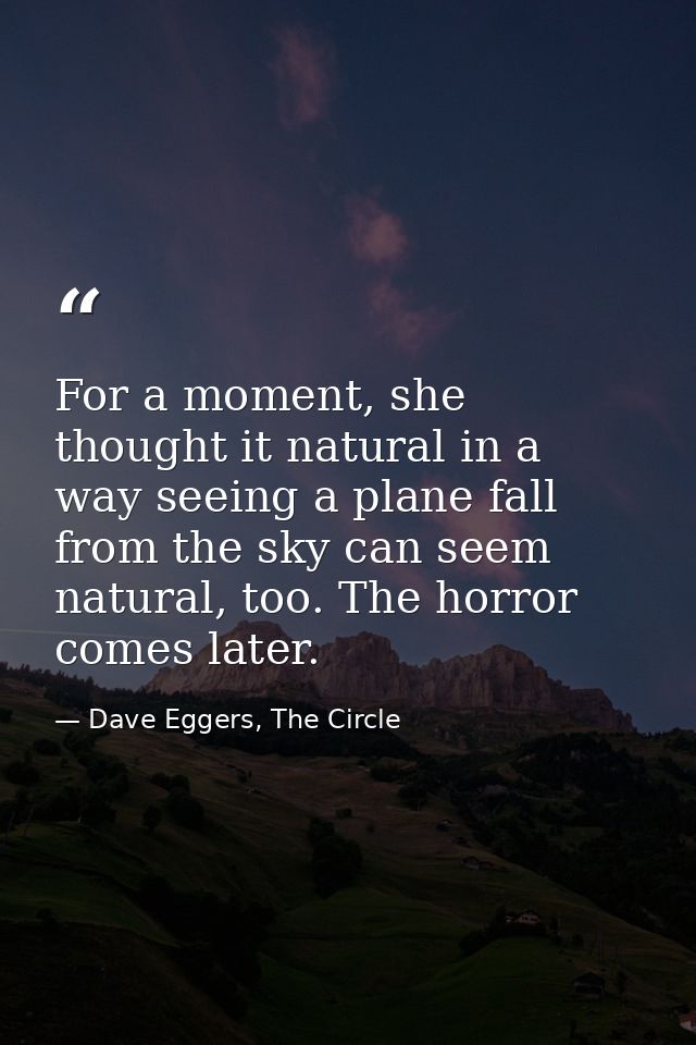 For a moment, she thought it natural in a way seeing a plane fall from the sky can seem natural, too. The horror comes l — Dave Eggers, The Circle