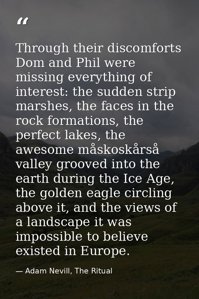 Through their discomforts Dom and Phil were missing everything of interest: the sudden strip marshes, the faces in the r — Adam Nevill, The Ritual