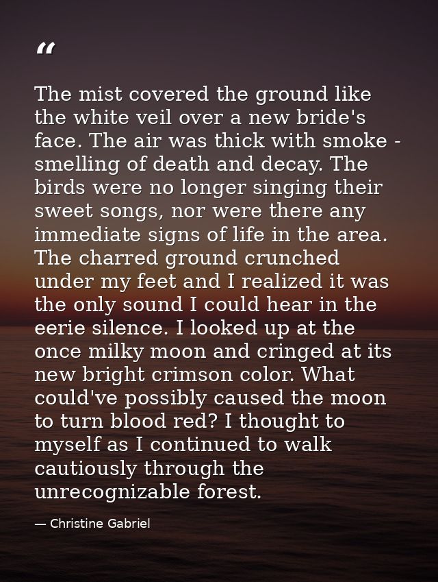 The mist covered the ground like the white veil over a new bride's face. The air was thick with smoke - smelling of deat — Christine Gabriel