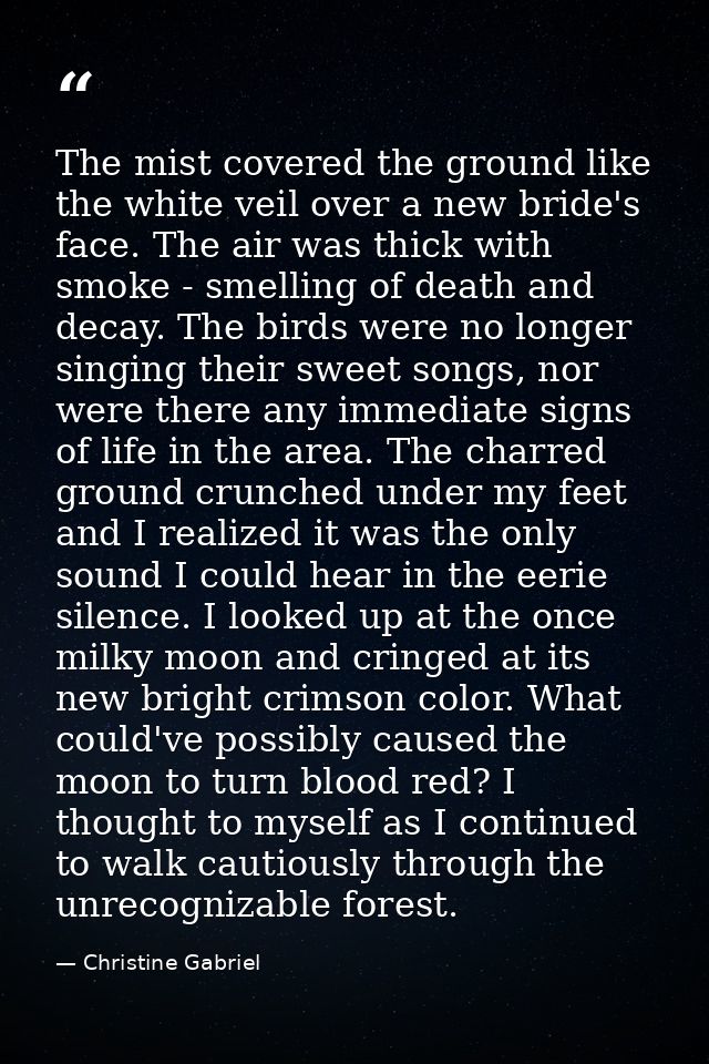 The mist covered the ground like the white veil over a new bride's face. The air was thick with smoke - smelling of deat — Christine Gabriel
