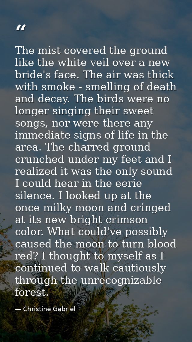 The mist covered the ground like the white veil over a new bride's face. The air was thick with smoke - smelling of deat — Christine Gabriel
