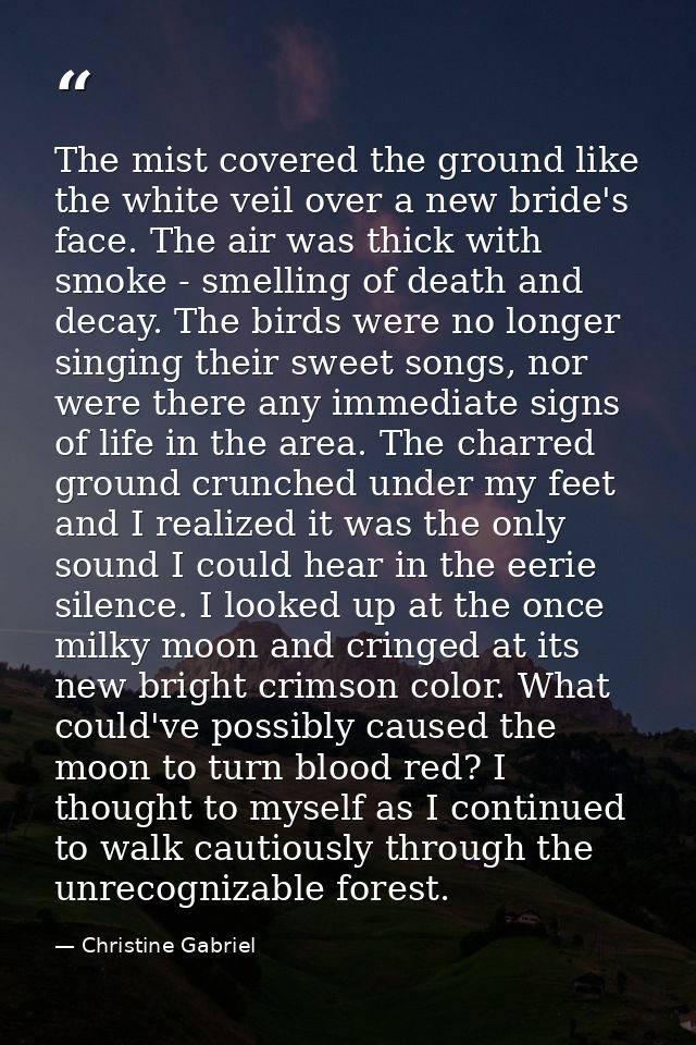 The mist covered the ground like the white veil over a new bride's face. The air was thick with smoke - smelling of deat — Christine Gabriel