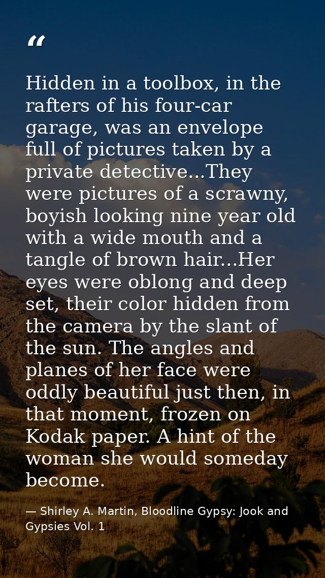 Hidden in a toolbox, in the rafters of his four-car garage, was an envelope full of pictures taken by a private detectiv — Shirley A. Martin, Bloodline Gypsy: Jook and Gypsies Vol. 1
