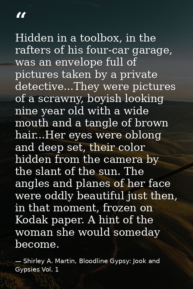 Hidden in a toolbox, in the rafters of his four-car garage, was an envelope full of pictures taken by a private detectiv — Shirley A. Martin, Bloodline Gypsy: Jook and Gypsies Vol. 1