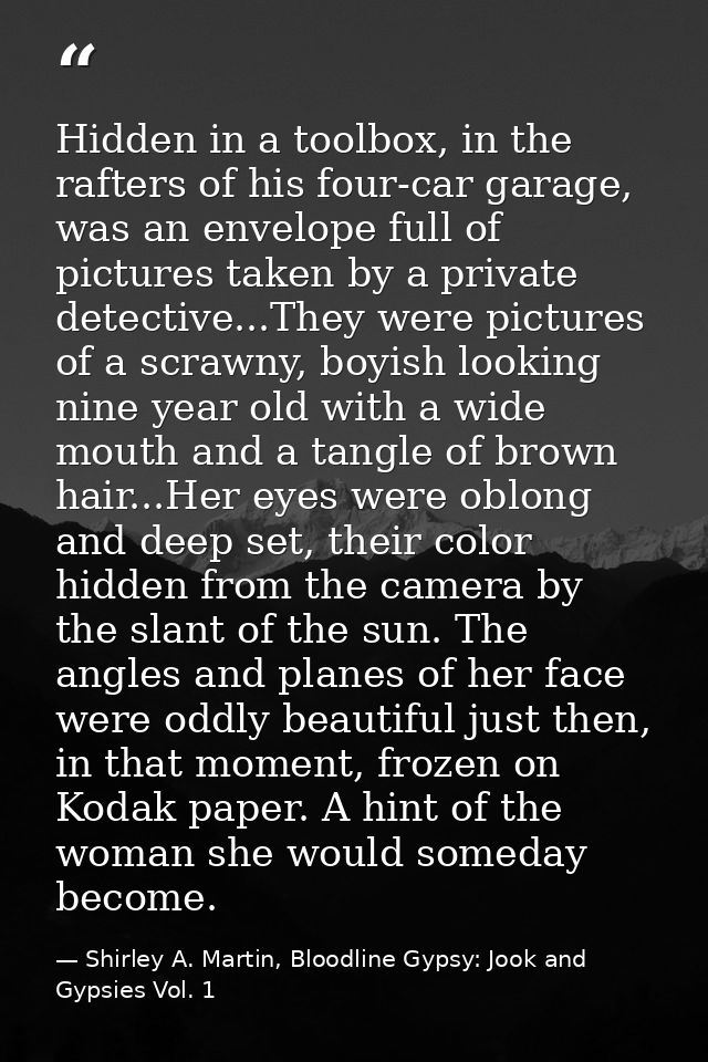 Hidden in a toolbox, in the rafters of his four-car garage, was an envelope full of pictures taken by a private detectiv — Shirley A. Martin, Bloodline Gypsy: Jook and Gypsies Vol. 1