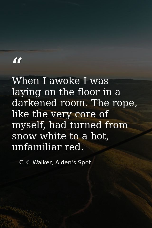 When I awoke I was laying on the floor in a darkened room. The rope, like the very core of myself, had turned from snow  — C.K. Walker, Aiden's Spot