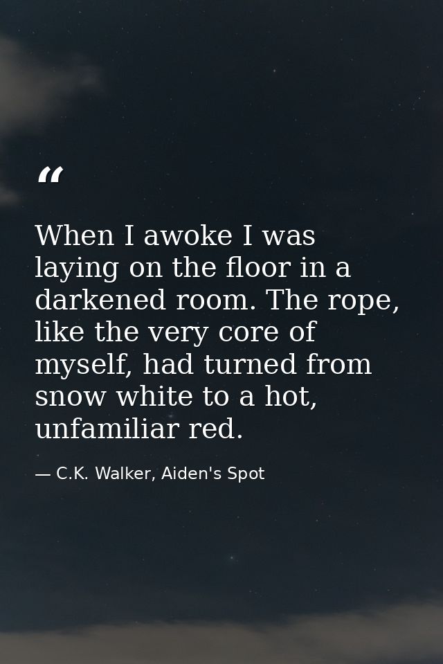 When I awoke I was laying on the floor in a darkened room. The rope, like the very core of myself, had turned from snow  — C.K. Walker, Aiden's Spot