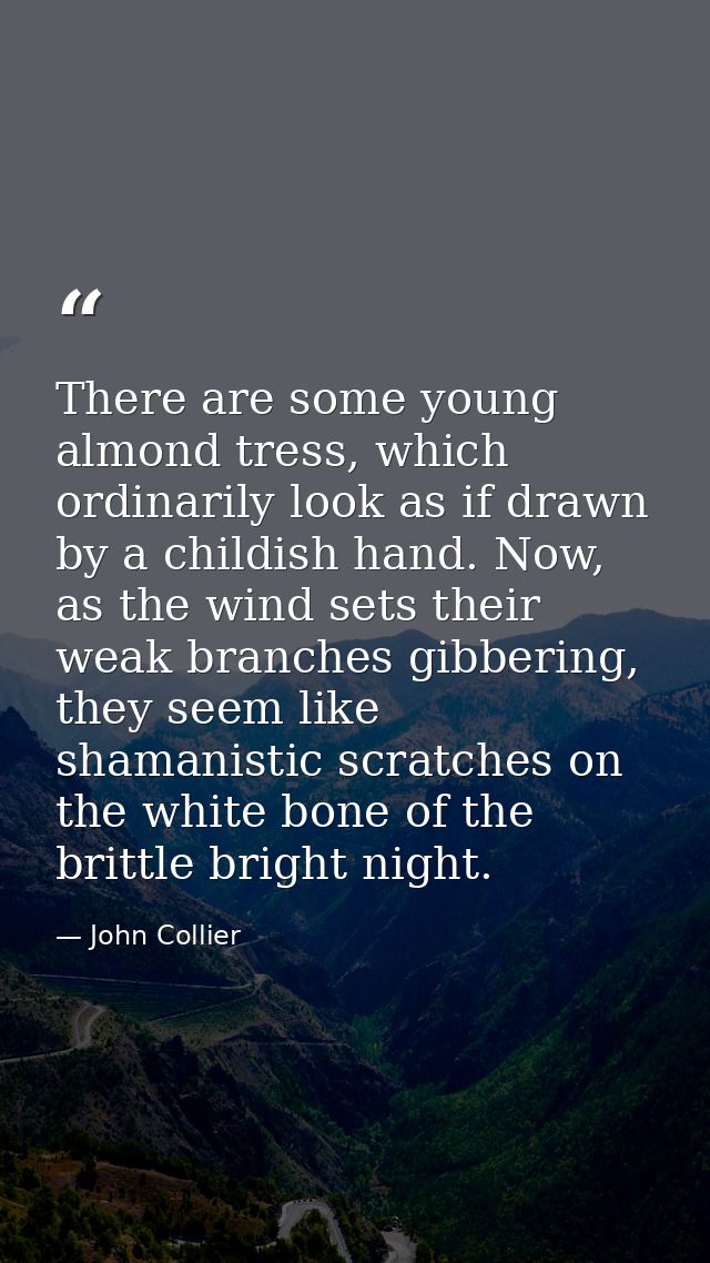 There are some young almond tress, which ordinarily look as if drawn by a childish hand. Now, as the wind sets their wea — John Collier