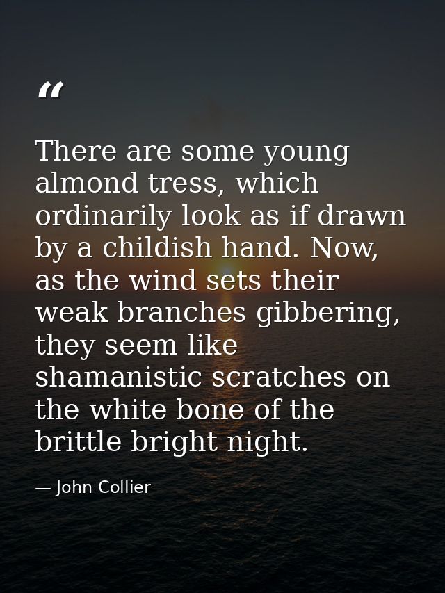 There are some young almond tress, which ordinarily look as if drawn by a childish hand. Now, as the wind sets their wea — John Collier
