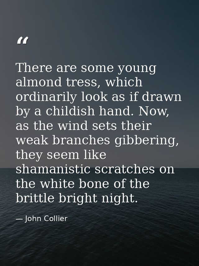There are some young almond tress, which ordinarily look as if drawn by a childish hand. Now, as the wind sets their wea — John Collier