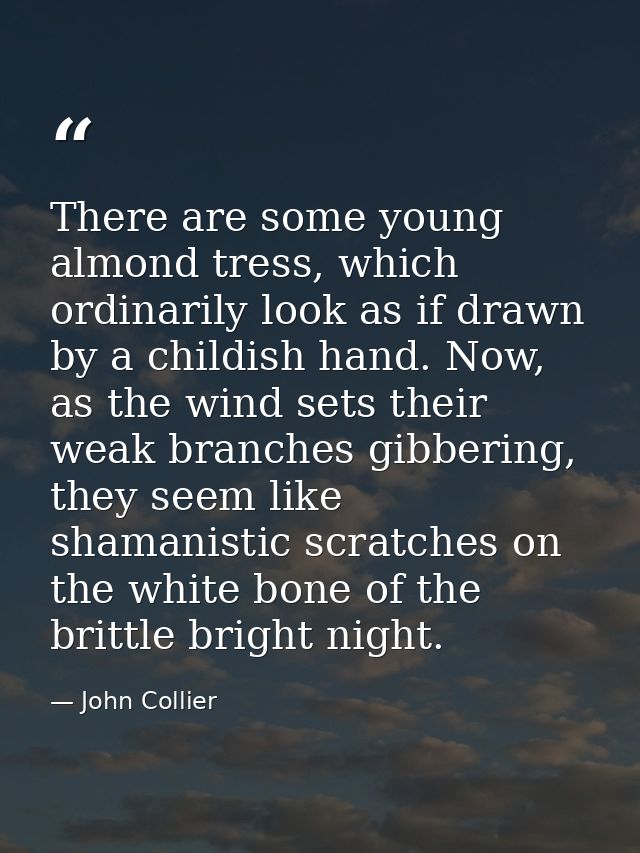 There are some young almond tress, which ordinarily look as if drawn by a childish hand. Now, as the wind sets their wea — John Collier