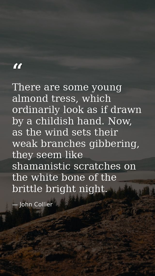 There are some young almond tress, which ordinarily look as if drawn by a childish hand. Now, as the wind sets their wea — John Collier