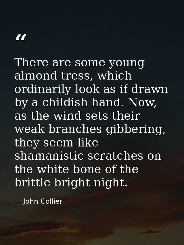 There are some young almond tress, which ordinarily look as if drawn by a childish hand. Now, as the wind sets their wea — John Collier