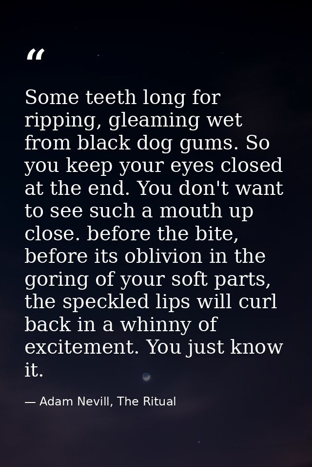 Some teeth long for ripping, gleaming wet from black dog gums. So you keep your eyes closed at the end. You don't want t — Adam Nevill, The Ritual