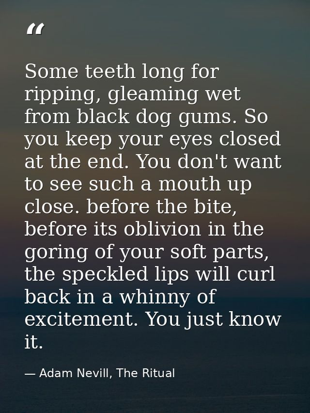 Some teeth long for ripping, gleaming wet from black dog gums. So you keep your eyes closed at the end. You don't want t — Adam Nevill, The Ritual