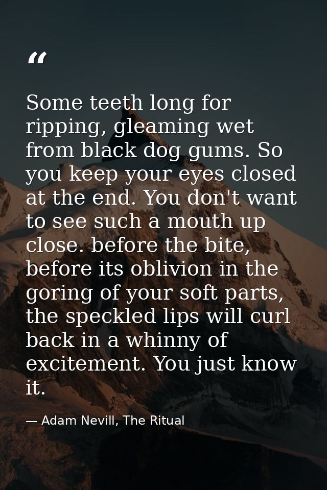 Some teeth long for ripping, gleaming wet from black dog gums. So you keep your eyes closed at the end. You don't want t — Adam Nevill, The Ritual