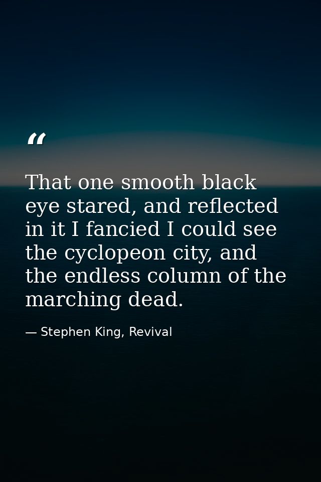 That one smooth black eye stared, and reflected in it I fancied I could see the cyclopeon city, and the endless column o — Stephen King, Revival