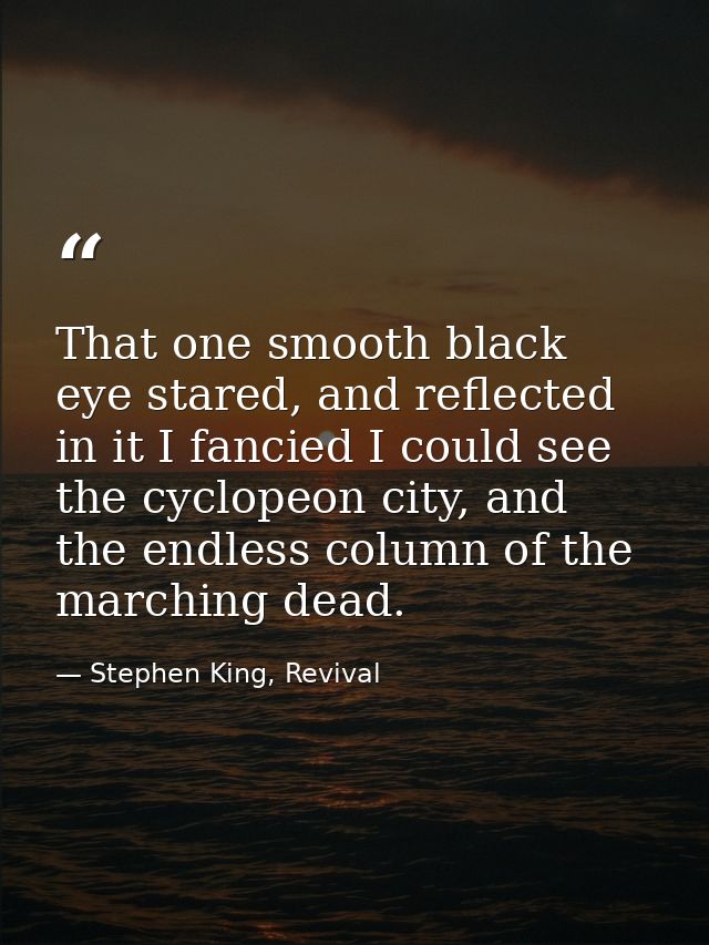 That one smooth black eye stared, and reflected in it I fancied I could see the cyclopeon city, and the endless column o — Stephen King, Revival