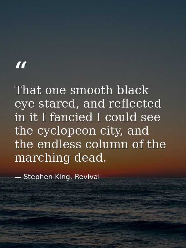 That one smooth black eye stared, and reflected in it I fancied I could see the cyclopeon city, and the endless column o — Stephen King, Revival