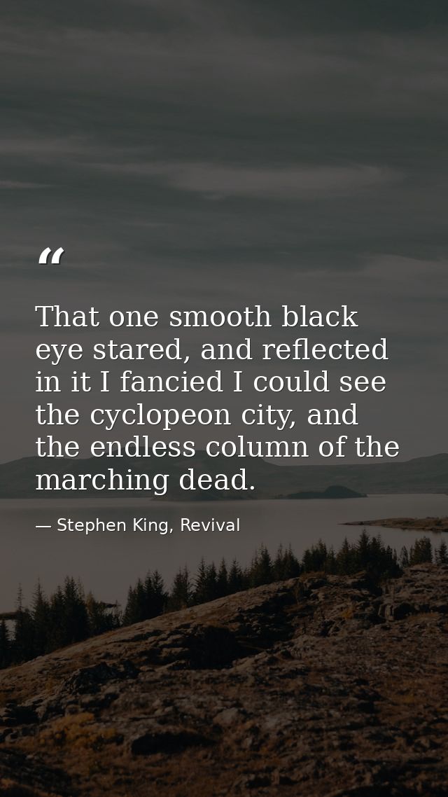 That one smooth black eye stared, and reflected in it I fancied I could see the cyclopeon city, and the endless column o — Stephen King, Revival