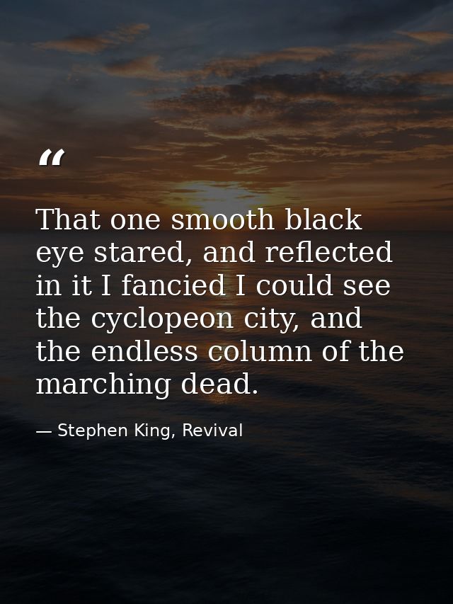 That one smooth black eye stared, and reflected in it I fancied I could see the cyclopeon city, and the endless column o — Stephen King, Revival