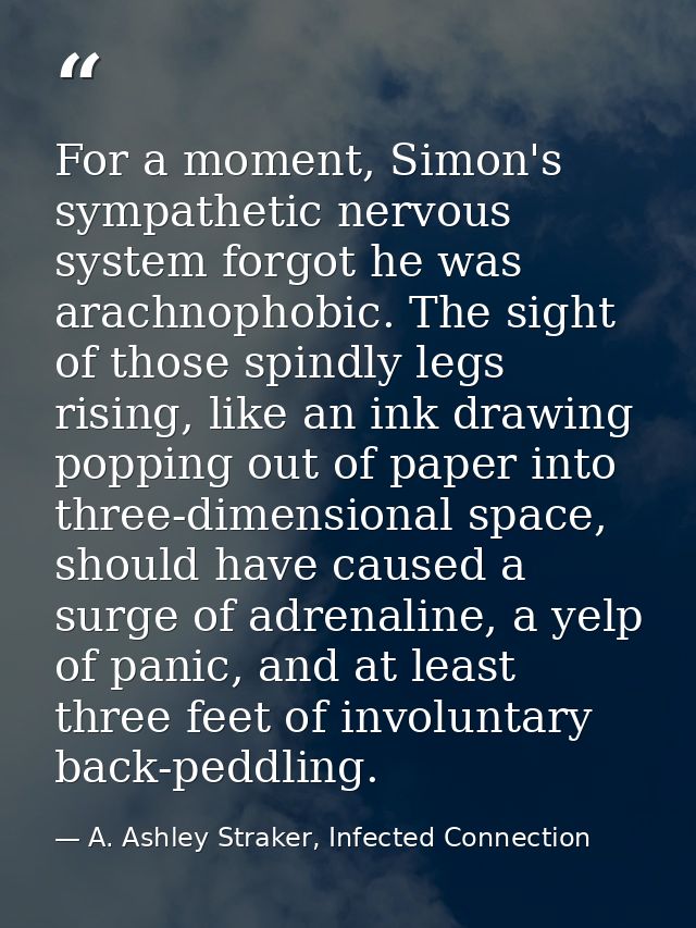 For a moment, Simon's sympathetic nervous system forgot he was arachnophobic. The sight of those spindly legs rising, li — A. Ashley Straker, Infected Connection