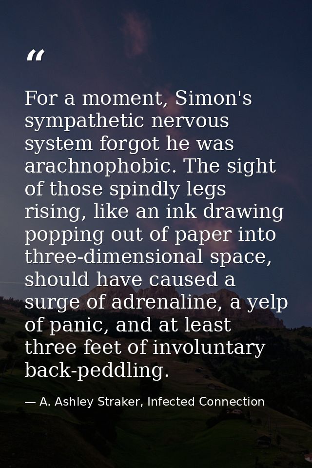 For a moment, Simon's sympathetic nervous system forgot he was arachnophobic. The sight of those spindly legs rising, li — A. Ashley Straker, Infected Connection