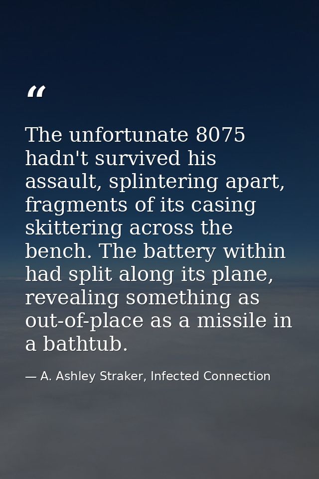 The unfortunate 8075 hadn't survived his assault, splintering apart, fragments of its casing skittering across the bench — A. Ashley Straker, Infected Connection