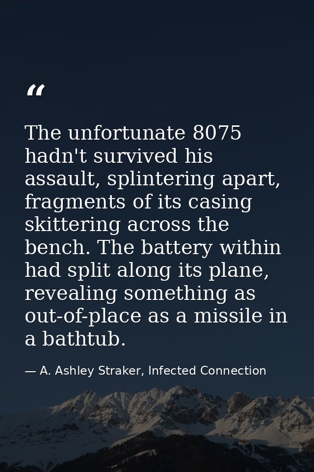 The unfortunate 8075 hadn't survived his assault, splintering apart, fragments of its casing skittering across the bench — A. Ashley Straker, Infected Connection