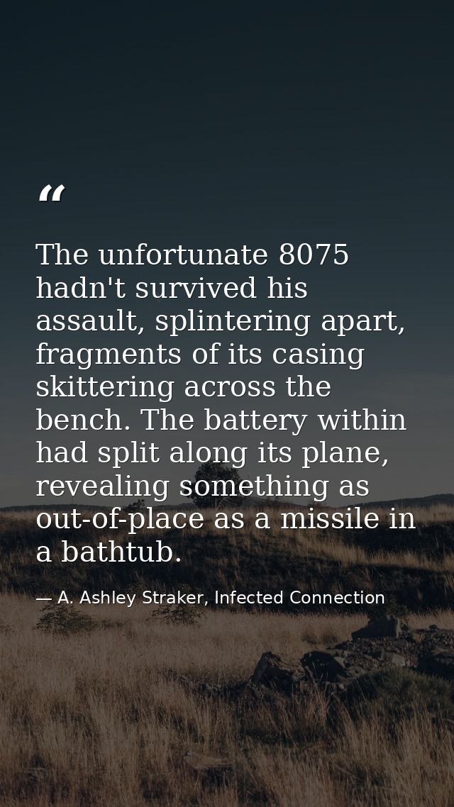 The unfortunate 8075 hadn't survived his assault, splintering apart, fragments of its casing skittering across the bench — A. Ashley Straker, Infected Connection