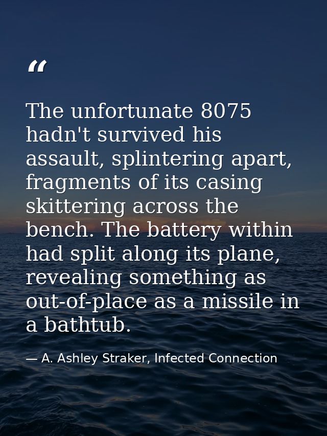 The unfortunate 8075 hadn't survived his assault, splintering apart, fragments of its casing skittering across the bench — A. Ashley Straker, Infected Connection