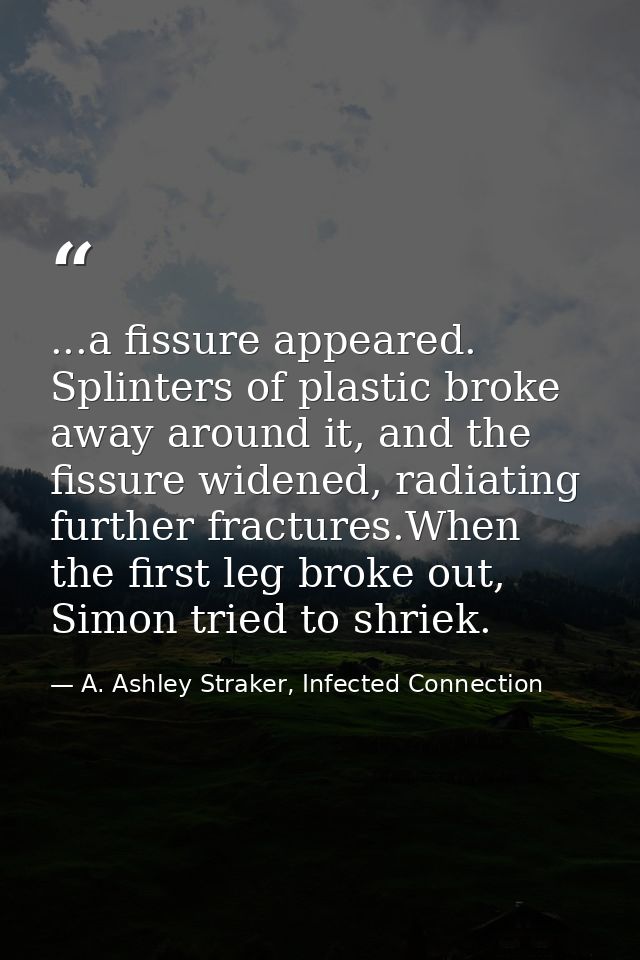 ...a fissure appeared. Splinters of plastic broke away around it, and the fissure widened, radiating further fractures.W — A. Ashley Straker, Infected Connection