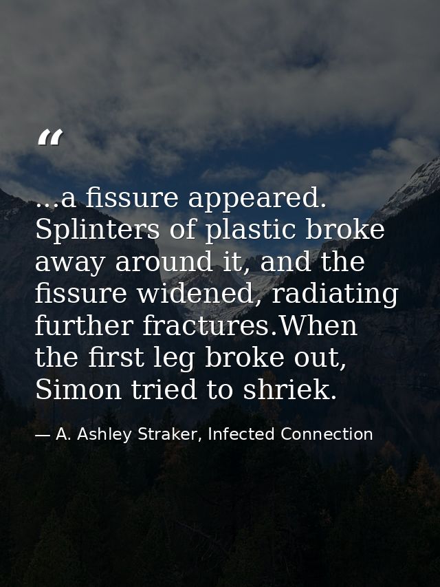 ...a fissure appeared. Splinters of plastic broke away around it, and the fissure widened, radiating further fractures.W — A. Ashley Straker, Infected Connection