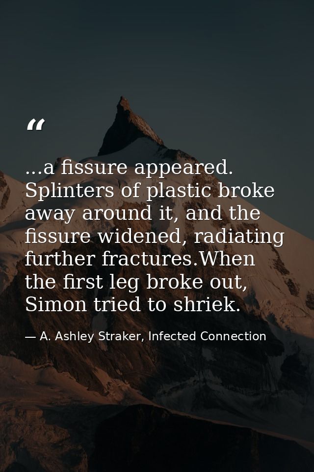 ...a fissure appeared. Splinters of plastic broke away around it, and the fissure widened, radiating further fractures.W — A. Ashley Straker, Infected Connection