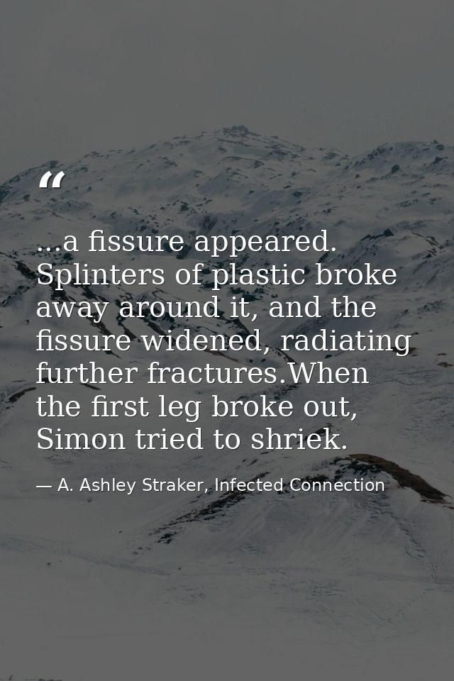 ...a fissure appeared. Splinters of plastic broke away around it, and the fissure widened, radiating further fractures.W — A. Ashley Straker, Infected Connection