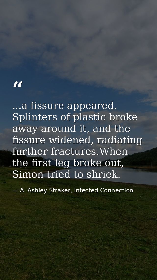 ...a fissure appeared. Splinters of plastic broke away around it, and the fissure widened, radiating further fractures.W — A. Ashley Straker, Infected Connection