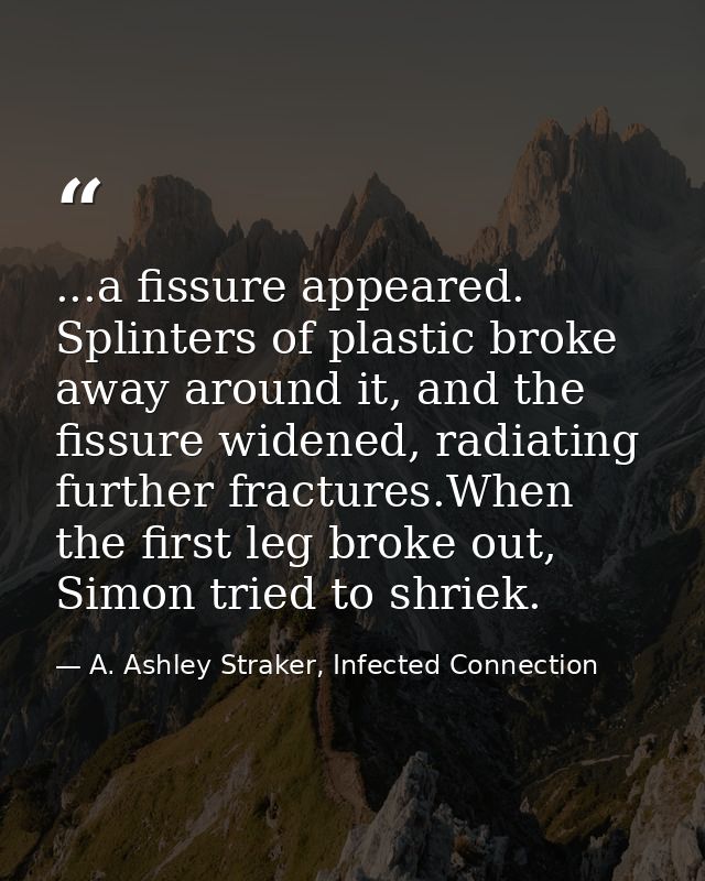 ...a fissure appeared. Splinters of plastic broke away around it, and the fissure widened, radiating further fractures.W — A. Ashley Straker, Infected Connection