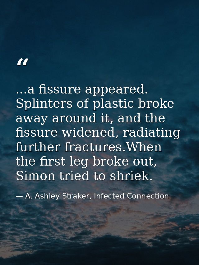 ...a fissure appeared. Splinters of plastic broke away around it, and the fissure widened, radiating further fractures.W — A. Ashley Straker, Infected Connection