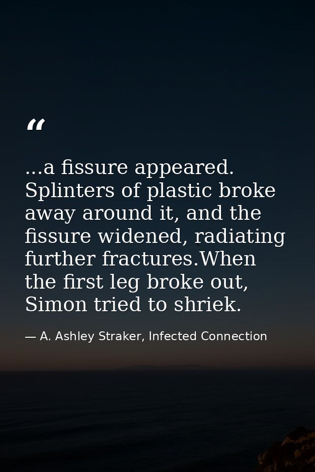 ...a fissure appeared. Splinters of plastic broke away around it, and the fissure widened, radiating further fractures.W — A. Ashley Straker, Infected Connection