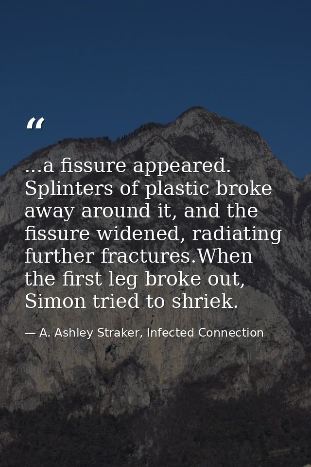 ...a fissure appeared. Splinters of plastic broke away around it, and the fissure widened, radiating further fractures.W — A. Ashley Straker, Infected Connection